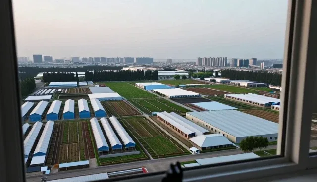 新媒体矩阵运营中的方案咨询应用场景分析